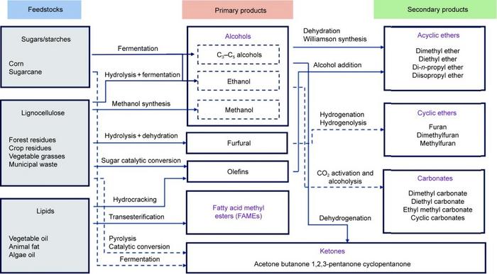Pathways to obtain oxygenated biofuels including primary products and secondary products from biomass.