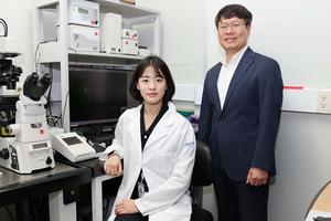 KAIST Team Develops Optogenetic Platform for Spatiotemporal Control of Protein and mRNA Storage and Release​