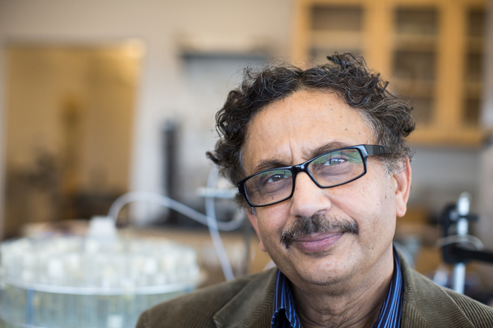 Professor Arup SenGupta
