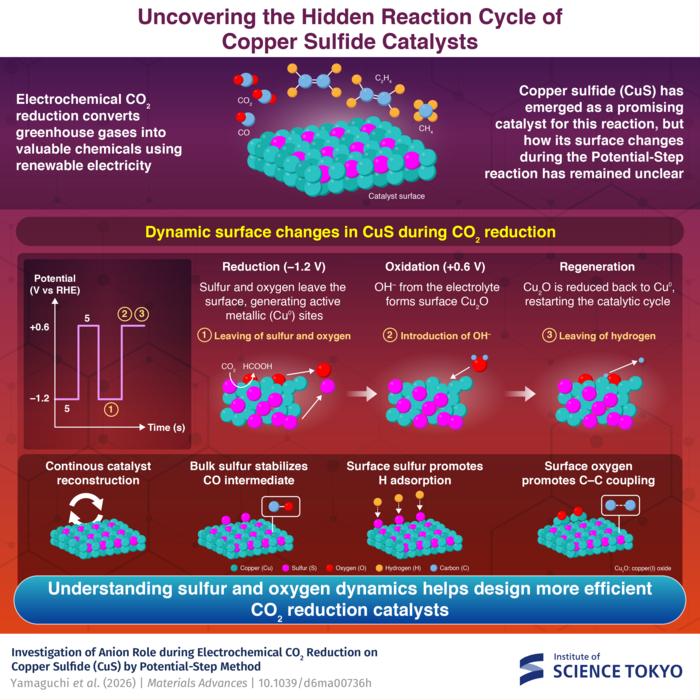 Uncovering the Hidden Reaction Cycle of Copper Sulfide Catalysts