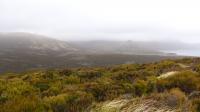Campbell Island, NZ