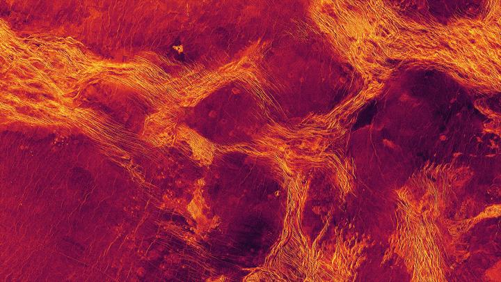 Lavinia Planitia