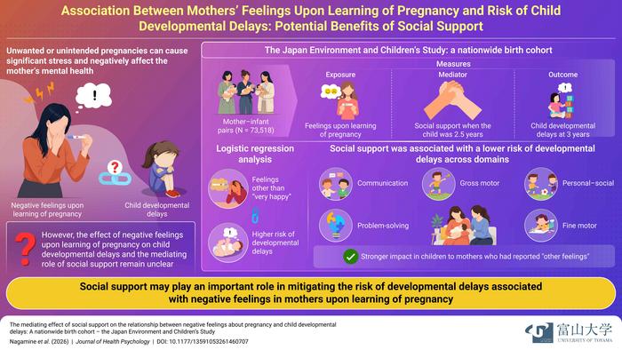 Feelings upon learning of pregnancy and postpartum social support are associated with developmental delay at 3 years