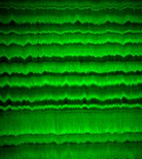 Fluorescent Banding