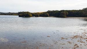 Lashmars Lagoon