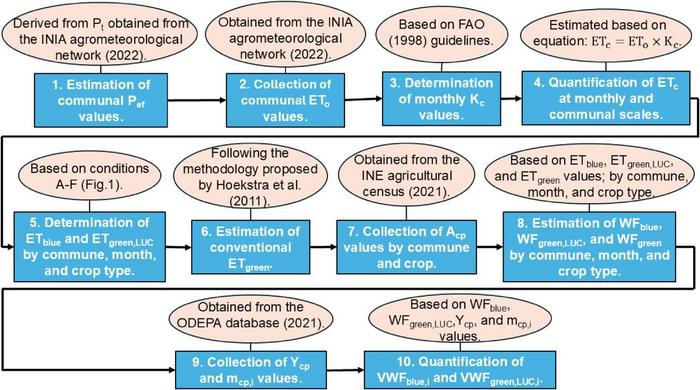 Schematic representation of the procedure used in this study.
