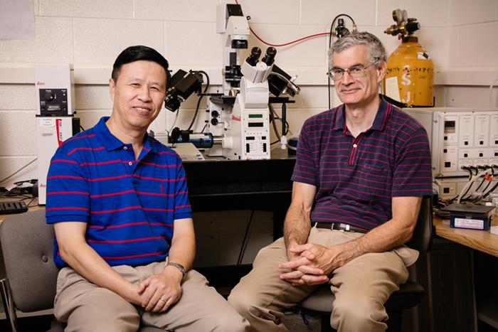 Ning Wang and Andrew Belmont, University of Illinois at Urbana-Champaign