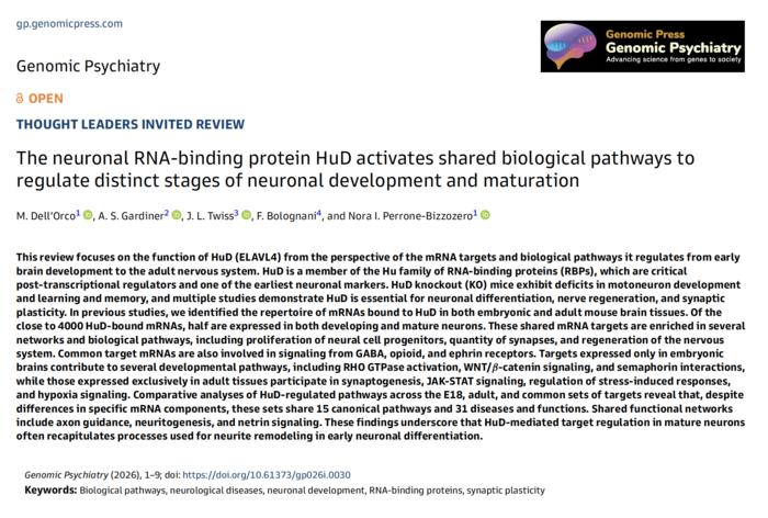 The neuronal RNA-binding protein HuD activates shared biological pathways to regulate distinct stages of neuronal development and maturation