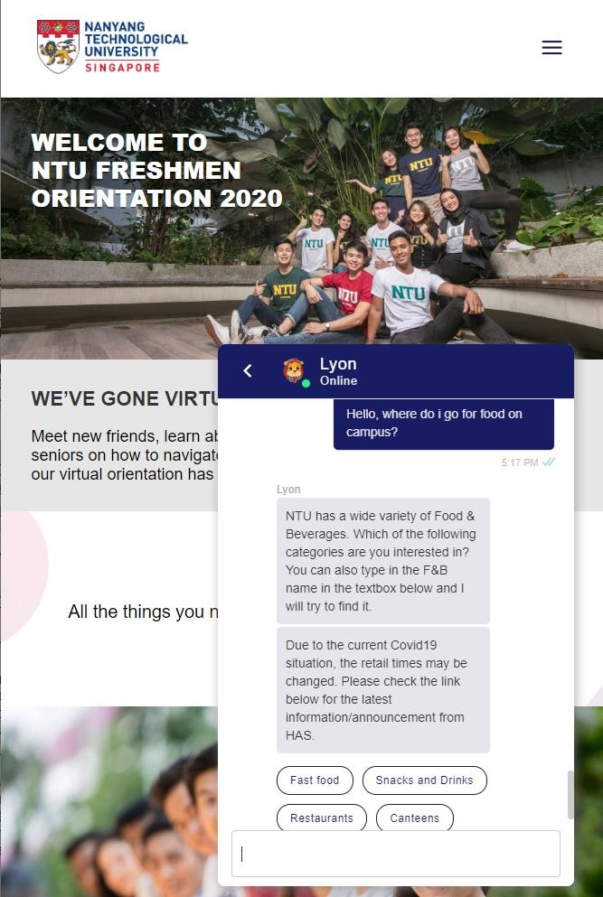 The New Lyon Chatbot 