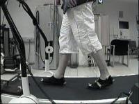 Treadmill (2 of 2)