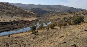 Hillside-near-Göbekli-Tepe,-Turkey