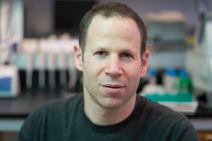 Dr. Doron Betel