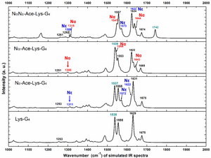 Raman and Infrared Spectroscopy Identified Different Acetylated Lysine