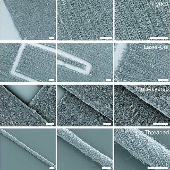 Various Scaffold Structures and Fiber Alignments