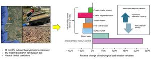 Soil conservation benefits of biochar in Mediterranean vineyards: enhancing the soil sponge function and mitigating water erosion