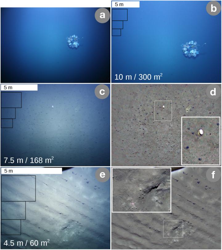 AUV ABYSS Images