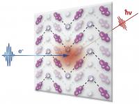 Imaging Atomic-Scale Electron-lattice Interactions
