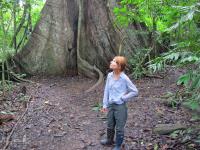 Erin Spear Searching for Tree Seeds