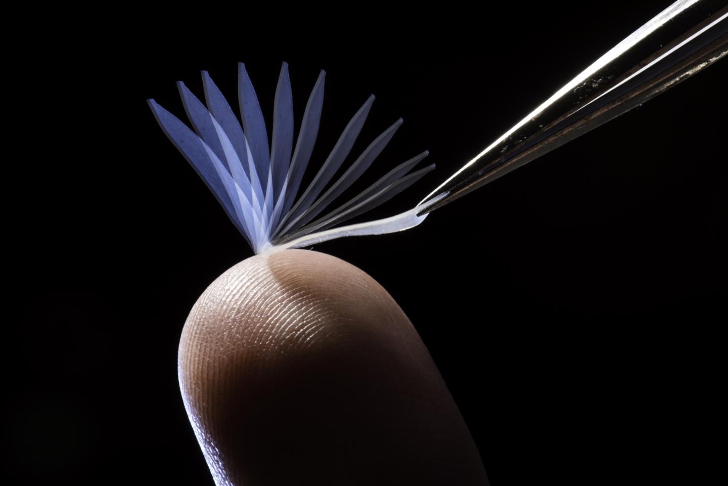 Time-Lapse Photo of Shape-Memory Polymer