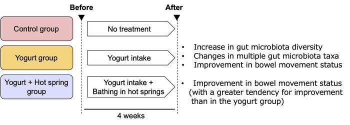 Graphical abstract of the paper