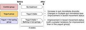 Graphical abstract of the paper