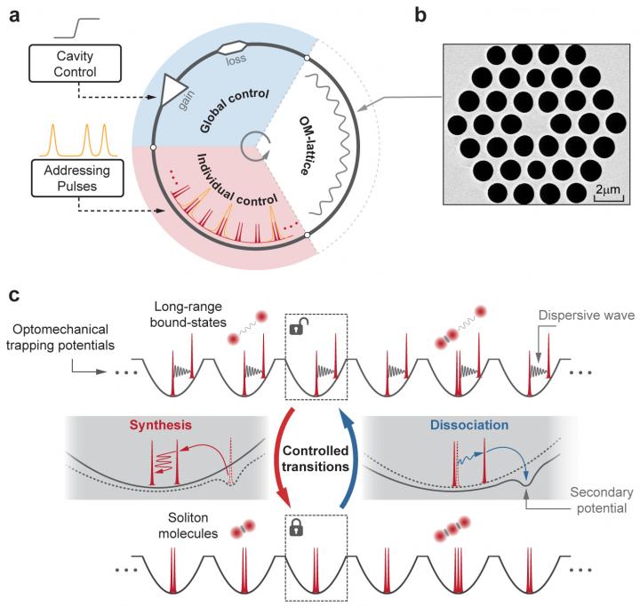 Figure 1 | Concept of parallel optical-soliton reactors.