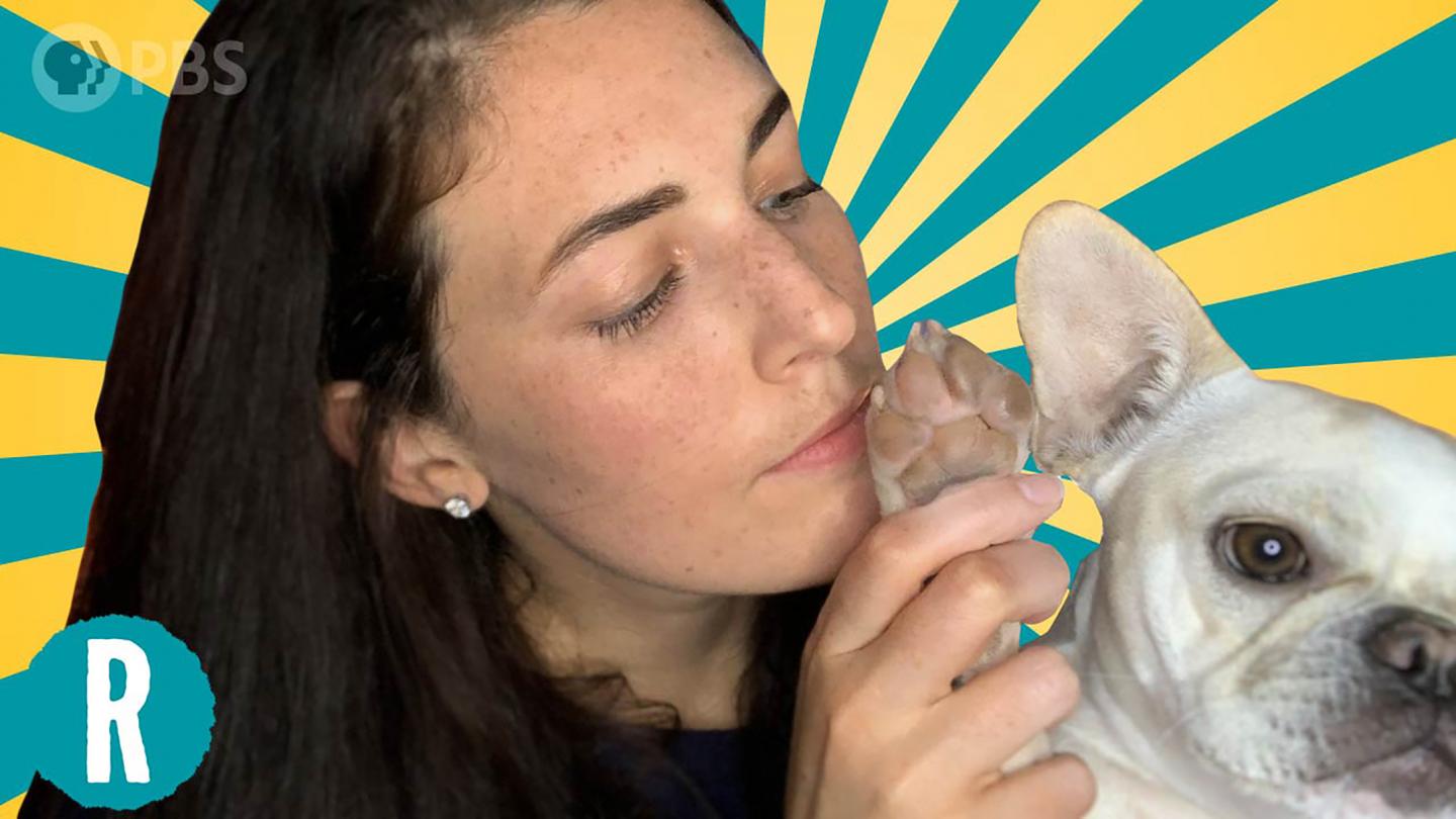Why do my dog's paws smell like Fritos? (video)