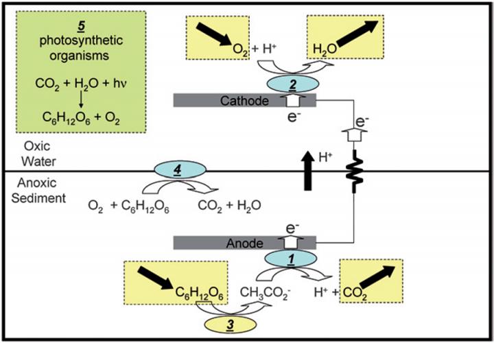 NRL Solar Microbial Fuel Cell