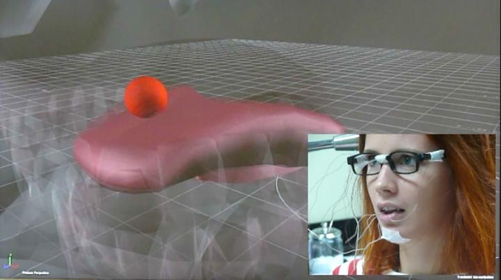 3-D Tongue Image
