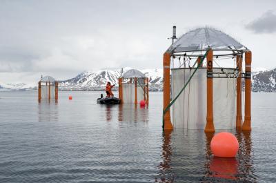 Sampling the Mesocosms