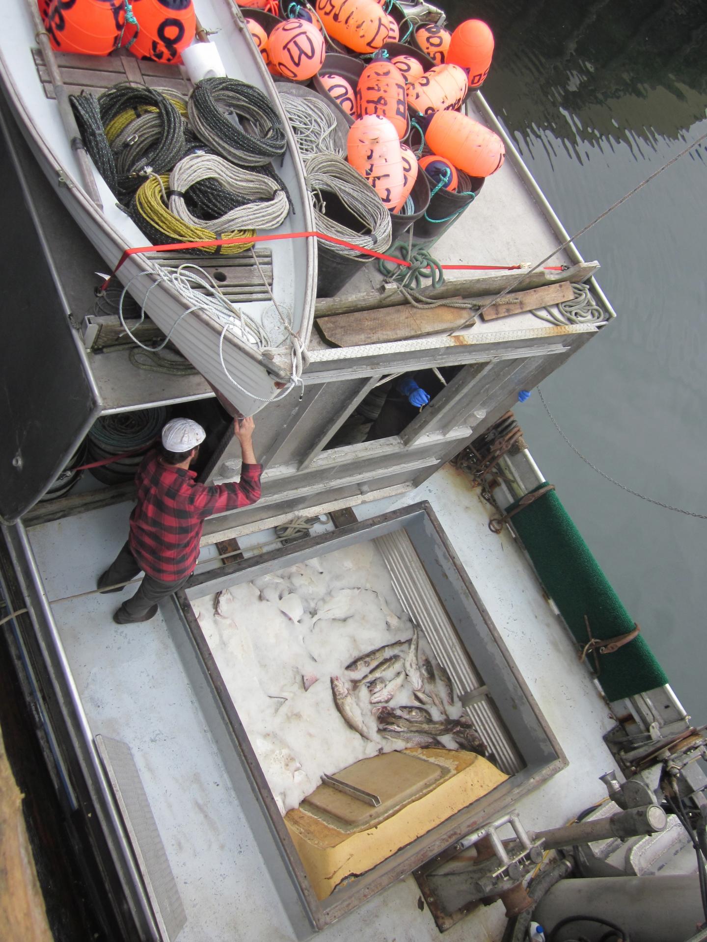 Carothers Halibut Boat