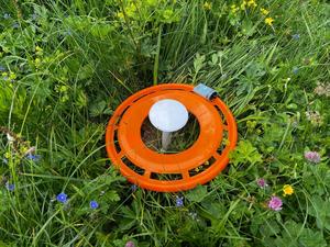 In-field data logger measuring soil moisture and temperature.