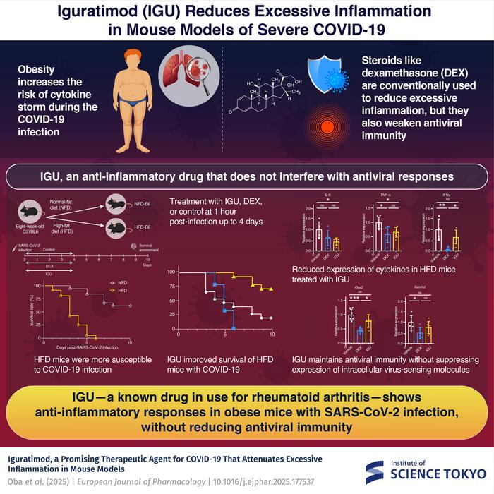 Iguratimod (IGU) reduces excessive inflammation in mouse models of severe COVID-19