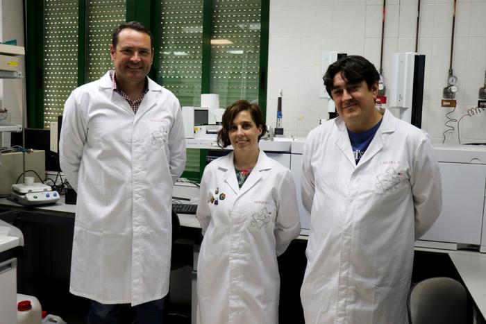 The olive as a laboratory: a new analytical approach predicts the quality of olive oil before it is extracted