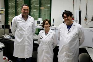 The olive as a laboratory: a new analytical approach predicts the quality of olive oil before it is extracted