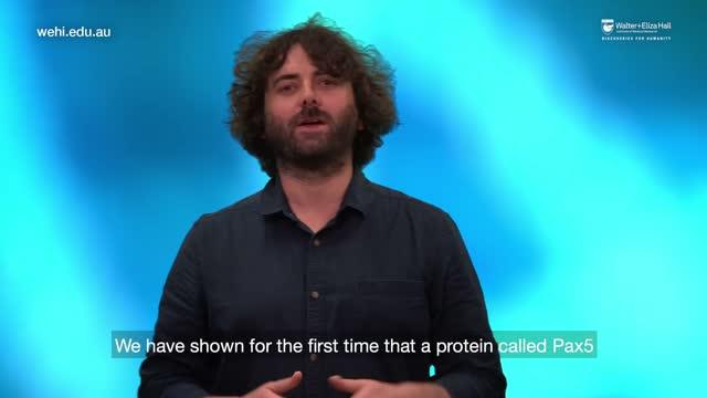 Immune Health Maintained by Meticulously Ordered DNA