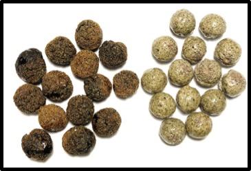 Coal Ash Aggregate for Concrete