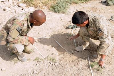 RATS Research May Teach Rodents to Detect Explosives (2 of 2)