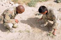 RATS Research May Teach Rodents to Detect Explosives (2 of 2)