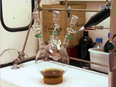 Synthesis of Biomolecules