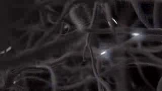 Seeing Beyond the Visual Cortex