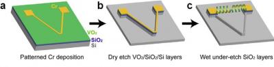 Vanadium Dioxide Micro-Muscle