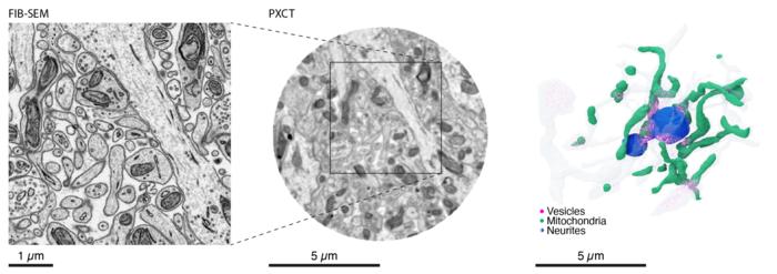 Confirming tissue integrity