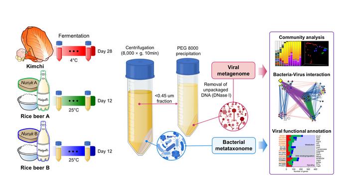 Metagenome-based analysis system of bacteriophages
