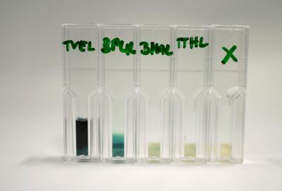 Enzymes