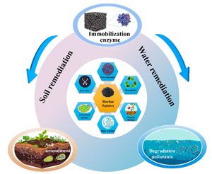 Application and mechanisms of biochar-immobilized enzymes in environmental remediation: a review