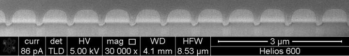 Cross-Sectional Scanning Electron Microscopy Images