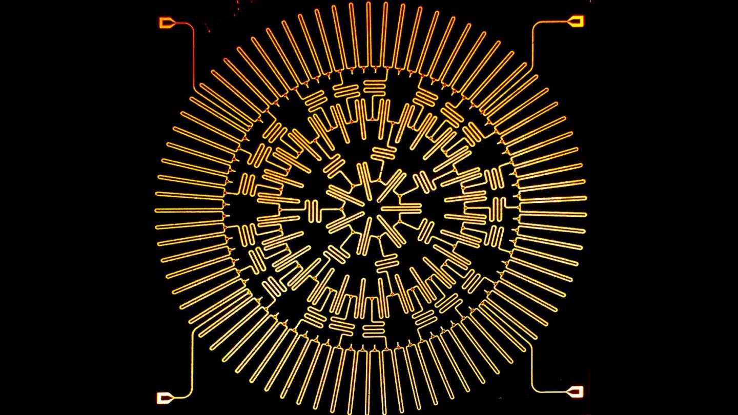 A Microchip that Simulates Particle Interactions in a Hyperbolic Plane