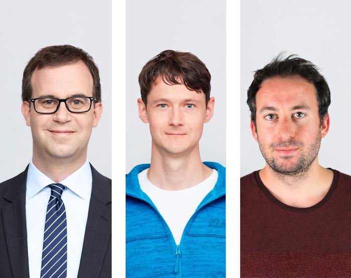 The authors