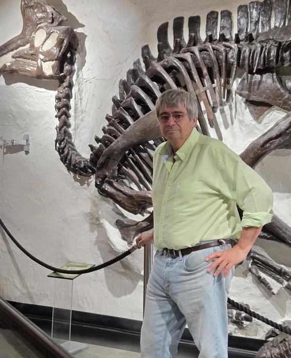 Researchers identify class of “oddball” meteorite that killed the dinosaurs